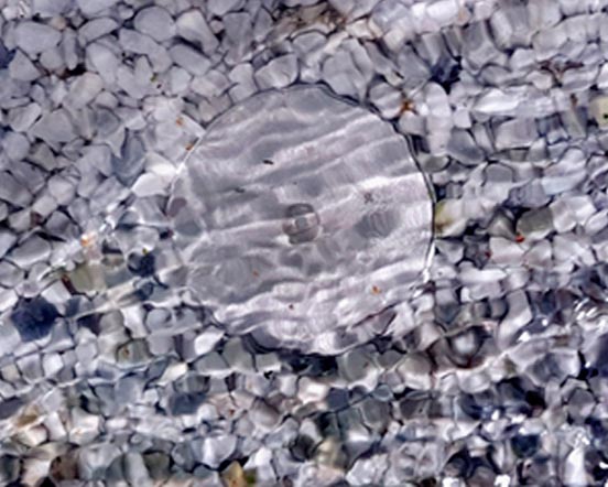 Floor socket suitable for wet cleaning machines