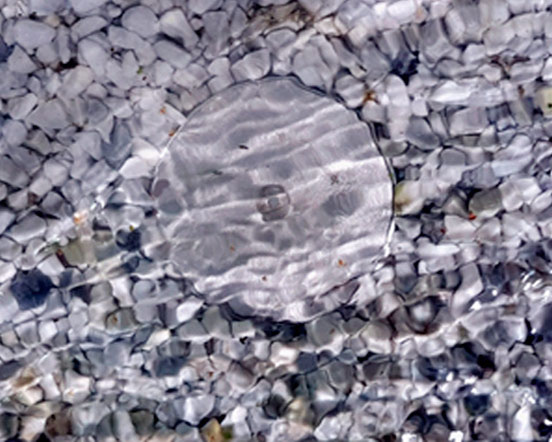 Bodensteckdose geeignet f&uuml;r Nassreinigungsmaschinen